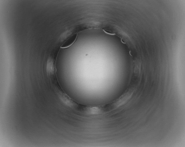 X0000113860287200909241314