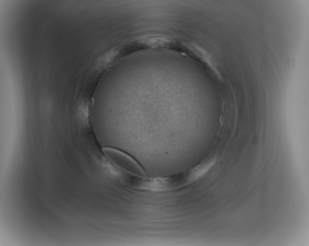 X0000113860288200909241314