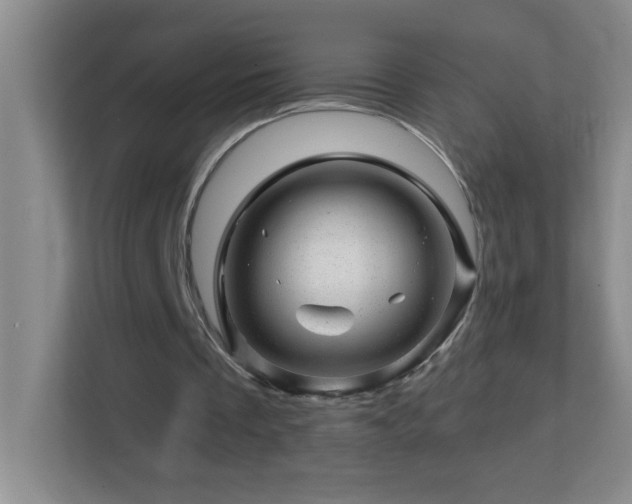 X0000113860289200909241313