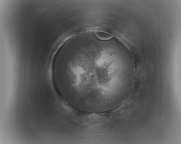 X0000113860290200909241313