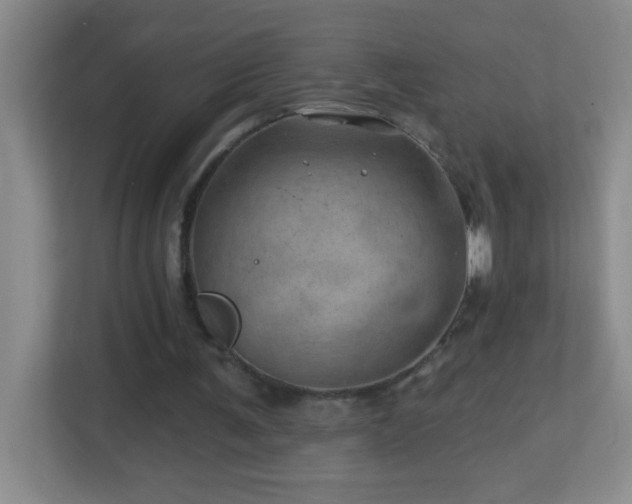 X0000113860291200909241313