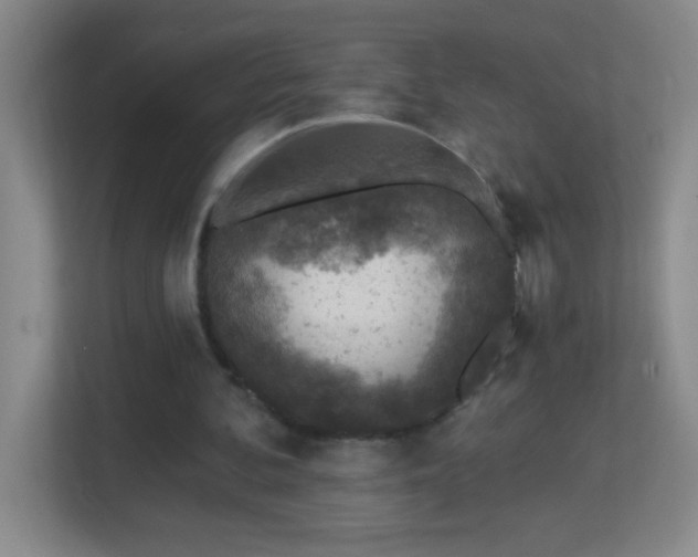X0000113860292200909241313