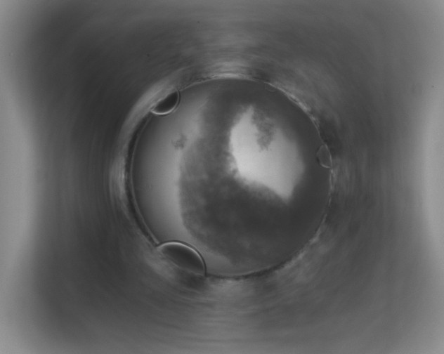X0000113860293200909241313
