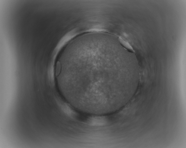 X0000113860296200909241313