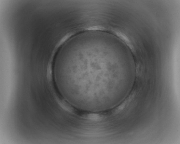 X0000113860298200909241313
