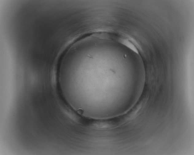 X0000113860299200909241313