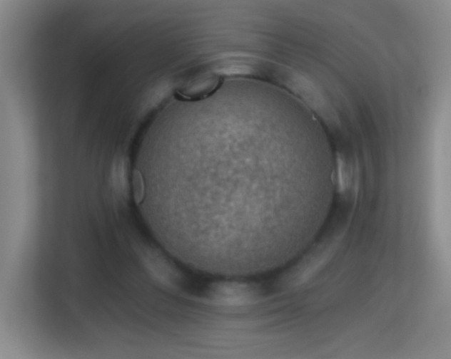 X0000113860300200909241313