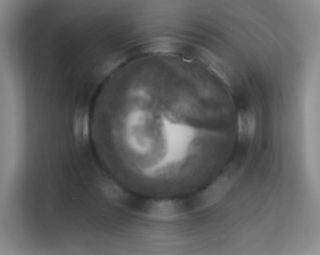 X0000113860301200909241313