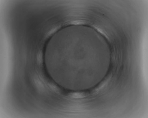 X0000113860303200909241313