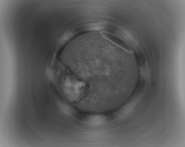 X0000113860304200909241313