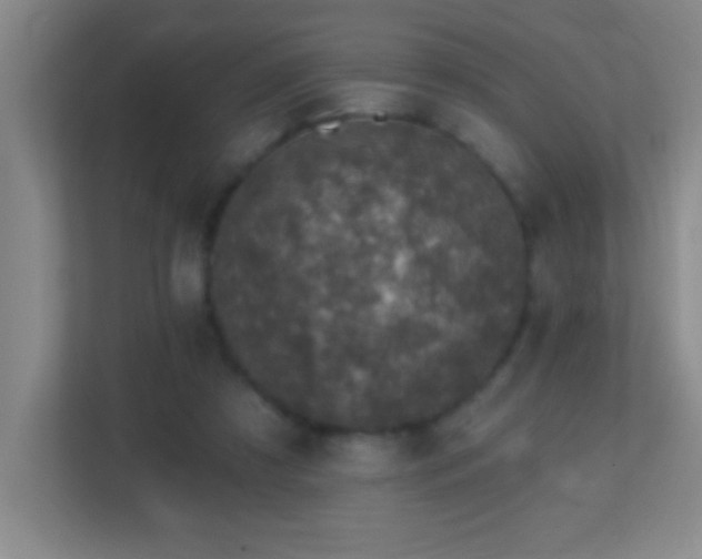 X0000113860305200909241313