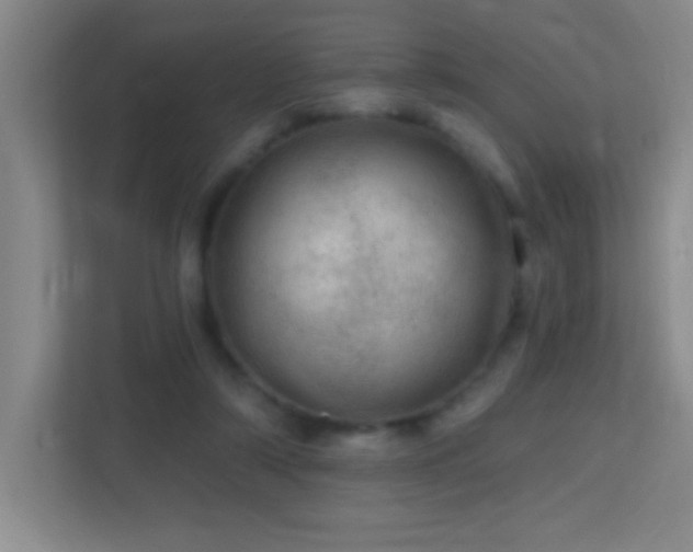 X0000113860306200909241313