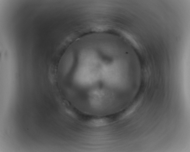 X0000113860307200909241313