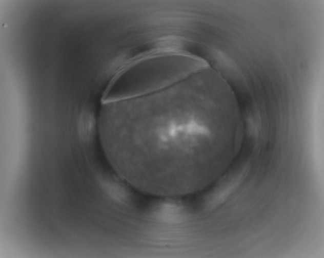 X0000113860308200909241313