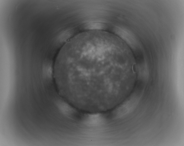 X0000113860309200909241313