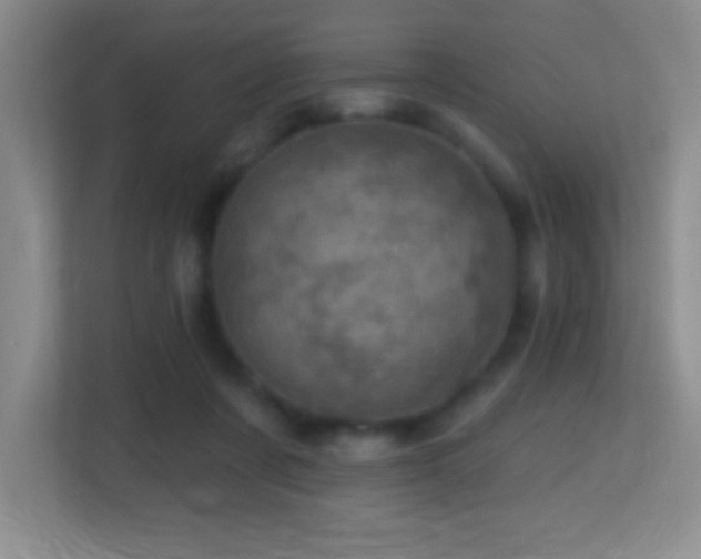 X0000113860311200909241313