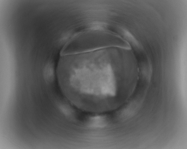X0000113860312200909241313