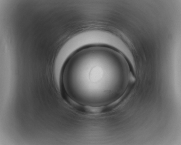 X0000113860313200909241313