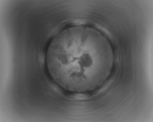 X0000113860315200909241313