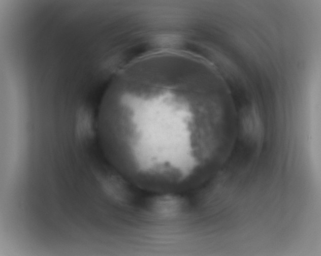 X0000113860316200909241313