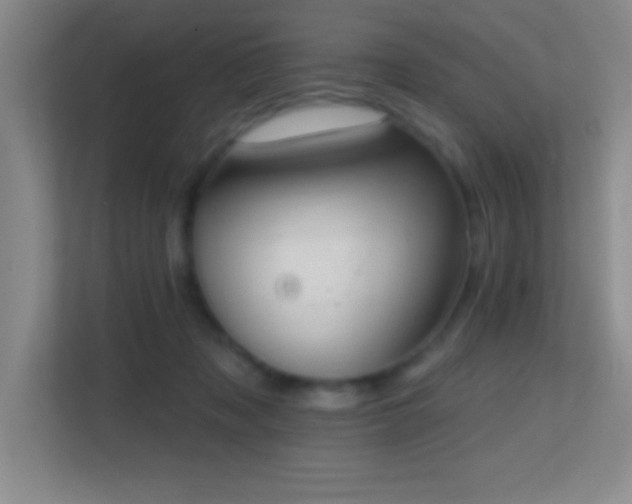 X0000113860317200909241313