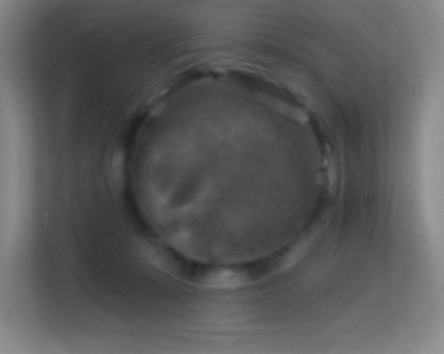 X0000113860319200909241313