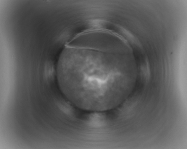 X0000113860320200909241313