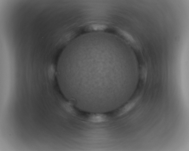 X0000113860321200909241313