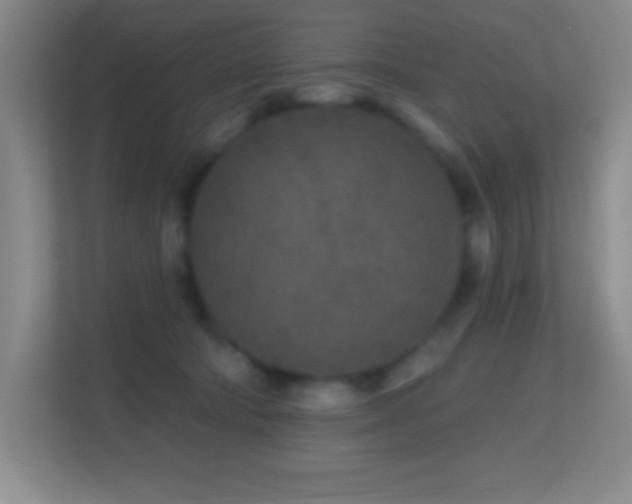 X0000113860322200909241313