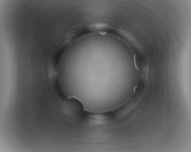 X0000113860324200909241313