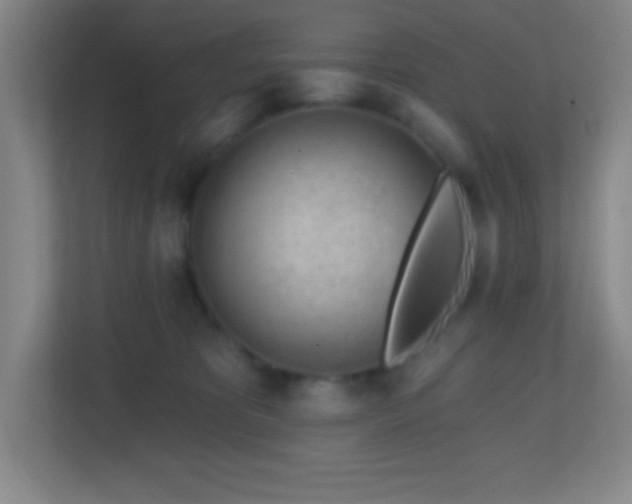 X0000113860325200909241313