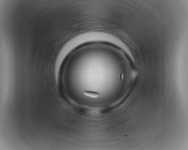 X0000113860327200909241313