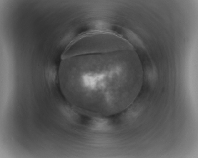 X0000113860328200909241313