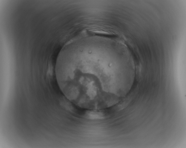 X0000113860331200909241313