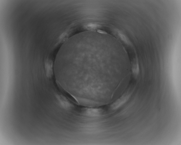 X0000113860332200909241313