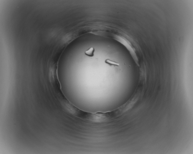 X0000113860333200909241313