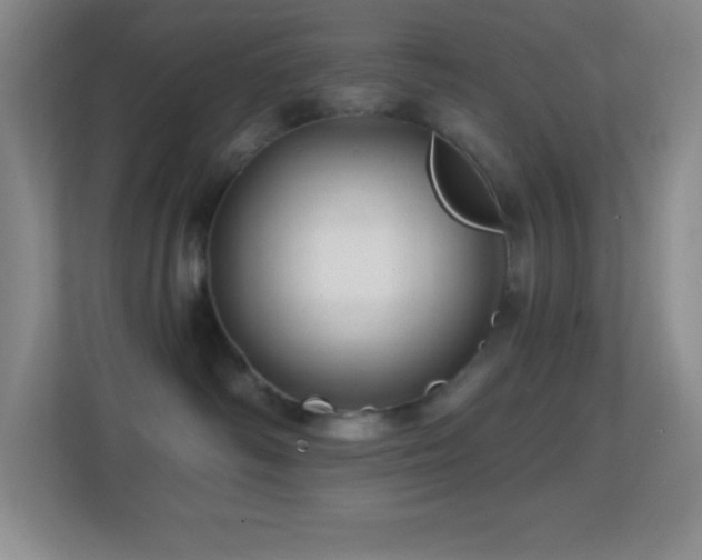 X0000113860334200909241313
