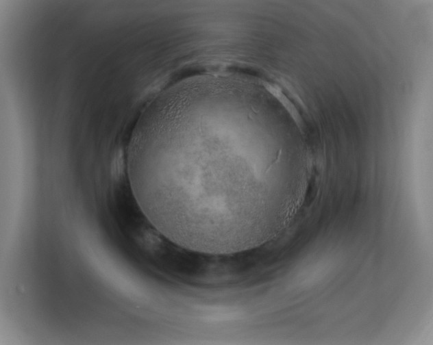 X0000113860335200909241313