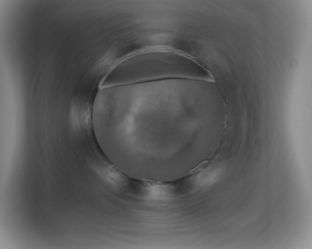 X0000113860336200909241313