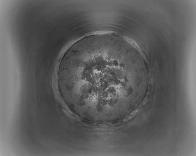 X0000113860337200909241312