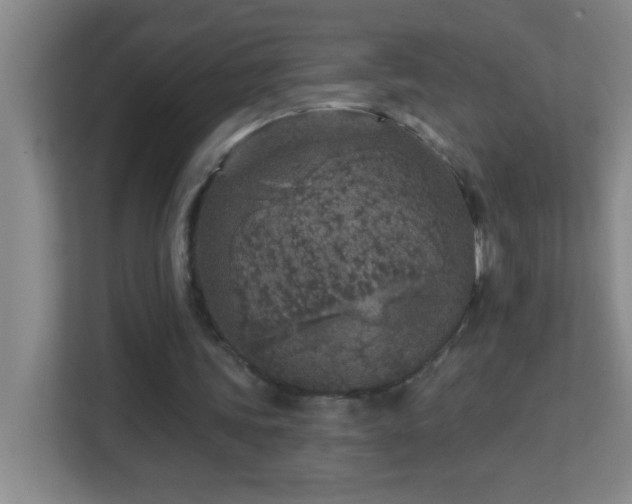 X0000113860339200909241312