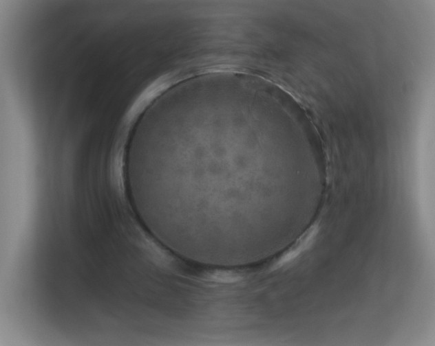 X0000113860341200909241312