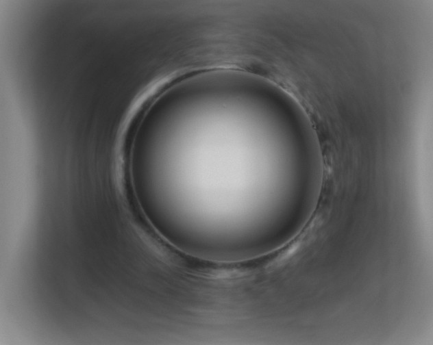 X0000113860342200909241312