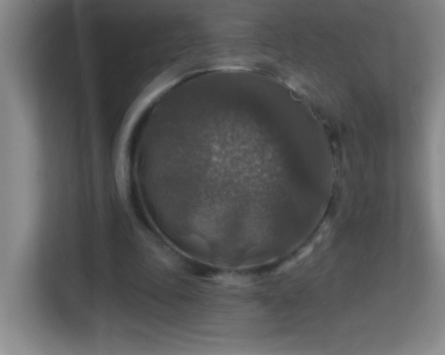 X0000113860343200909241312