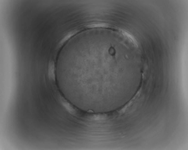 X0000113860345200909241312