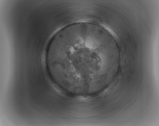 X0000113860346200909241312