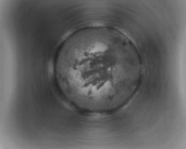 X0000113860347200909241312