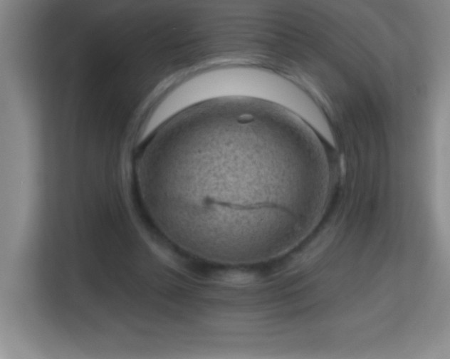 X0000113860348200909241312