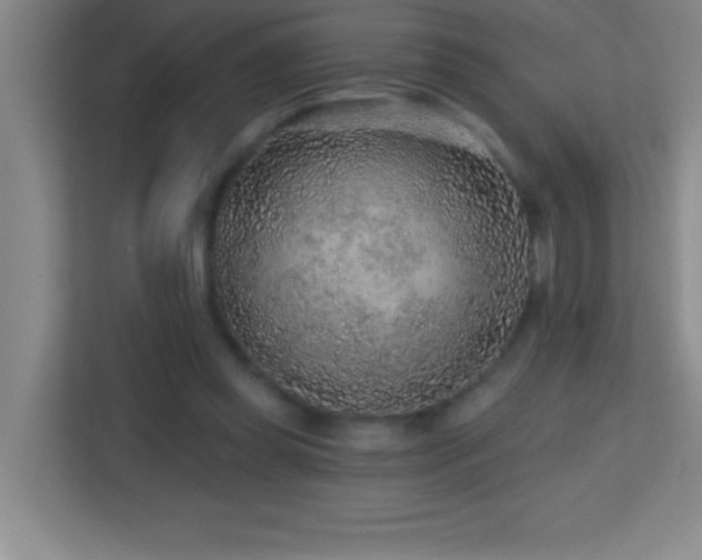 X0000113860349200909241312