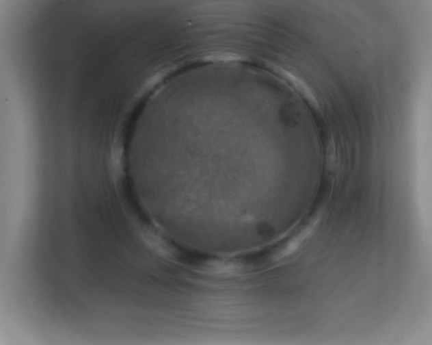 X0000113860351200909241312